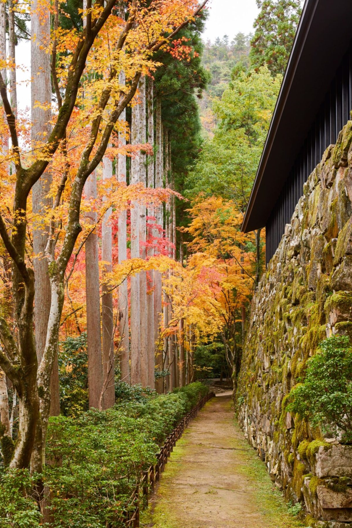 Aman Kyoto - Image 10