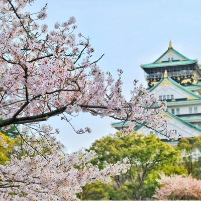 Japan with blossom tree