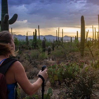 Personal Discovery at Canyon Ranch, Tucson