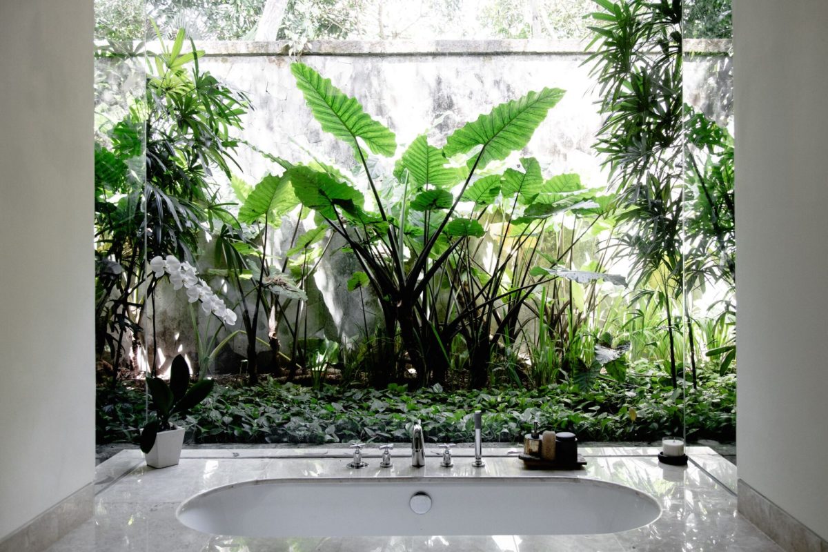 REVIVO Bali