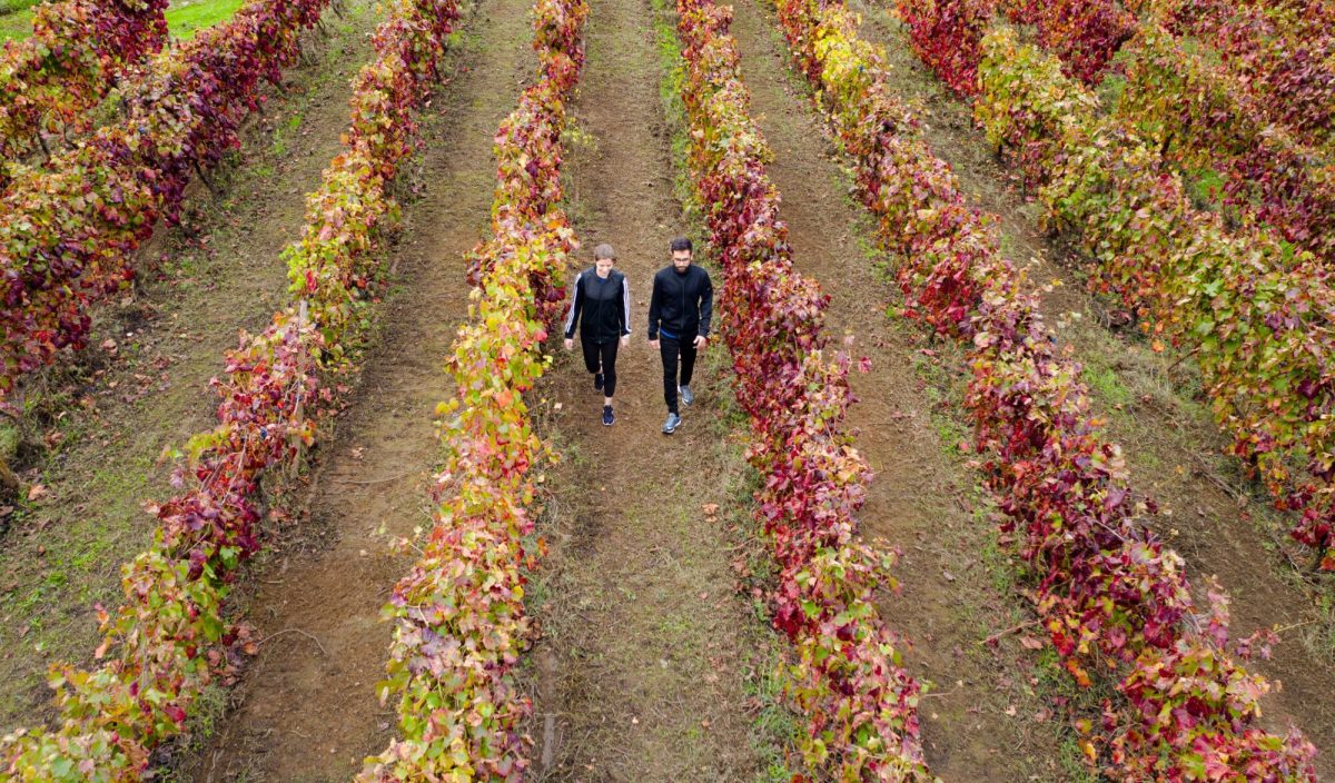 Six Senses Douro Valley - Image 8