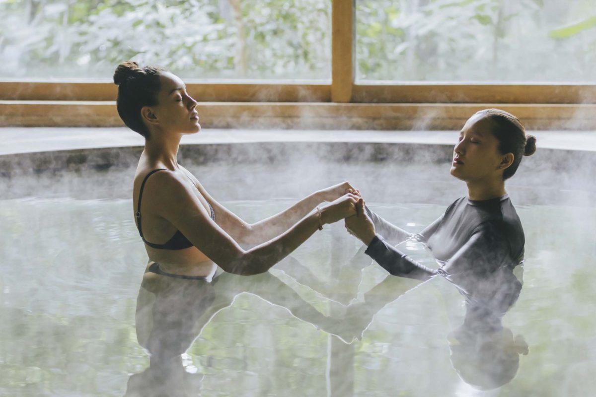 Six Senses Vana - Image 9