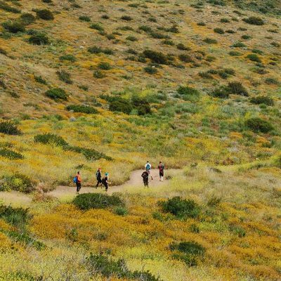 Luxury Holidays in North America: The Ranch Malibu